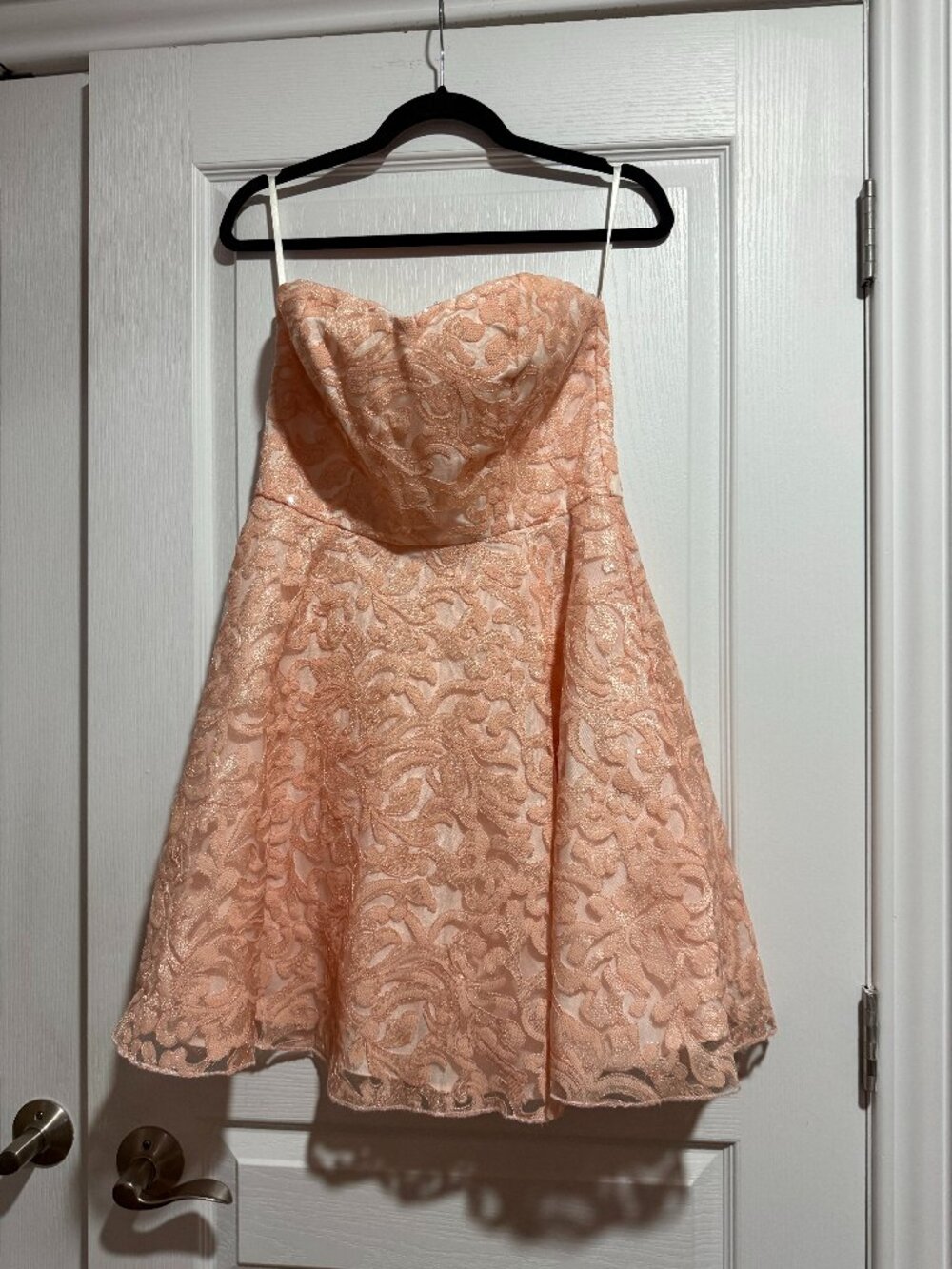 Minuet Blush Pink Lace Sequin Fit & Flare Cocktail Dress Medium